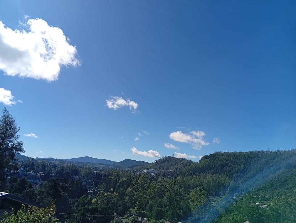 View (from property/room)