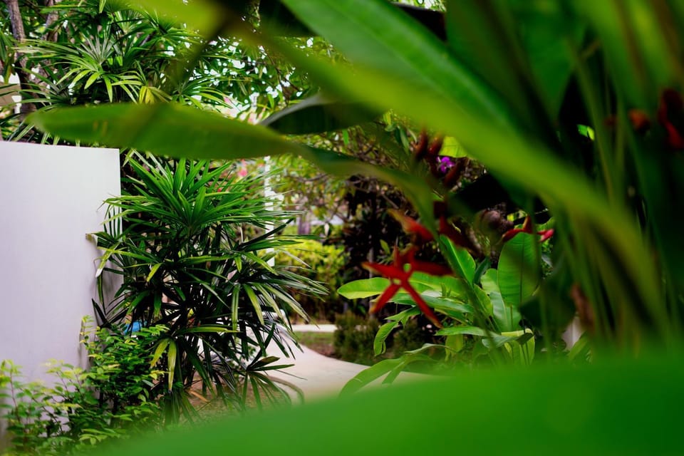 Natural landscape, Garden view