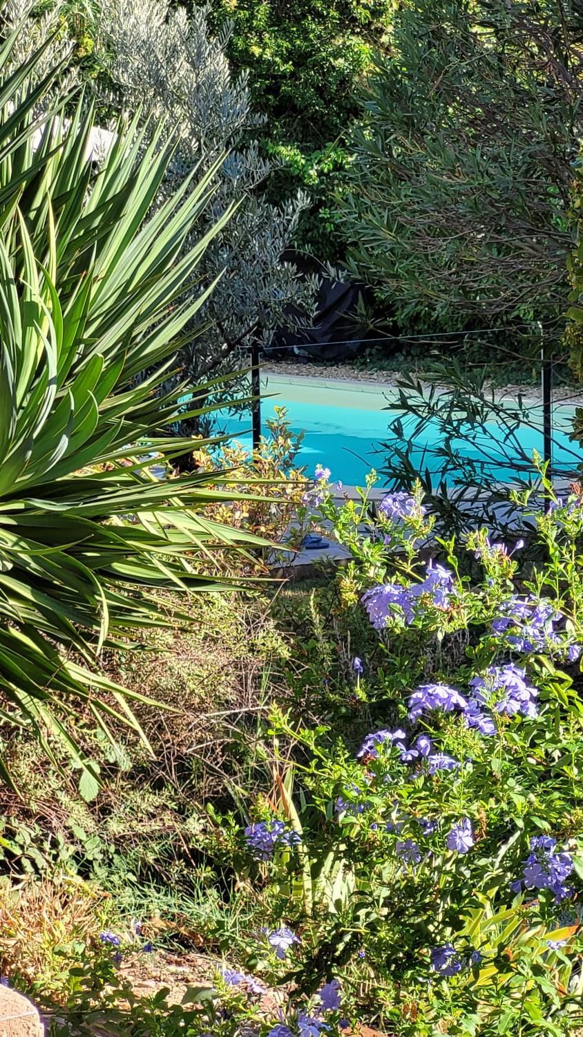 Garden, Swimming pool
