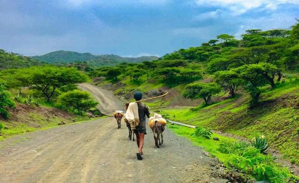 Horse-riding