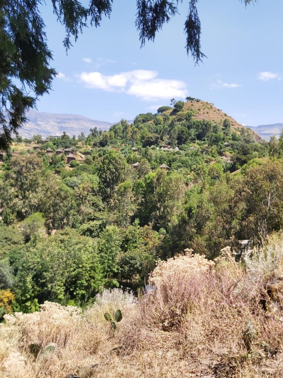 Mountain view
