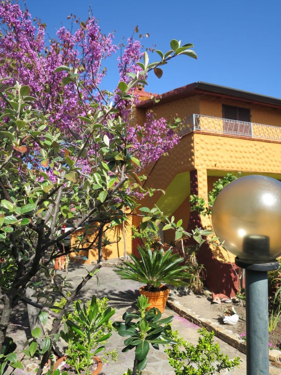 Property building, Garden, Garden view