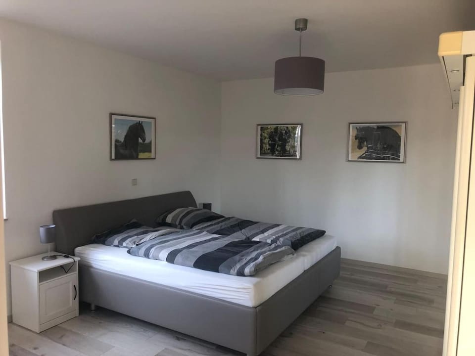 Ferienwohnung Friese Apartment in Saxony