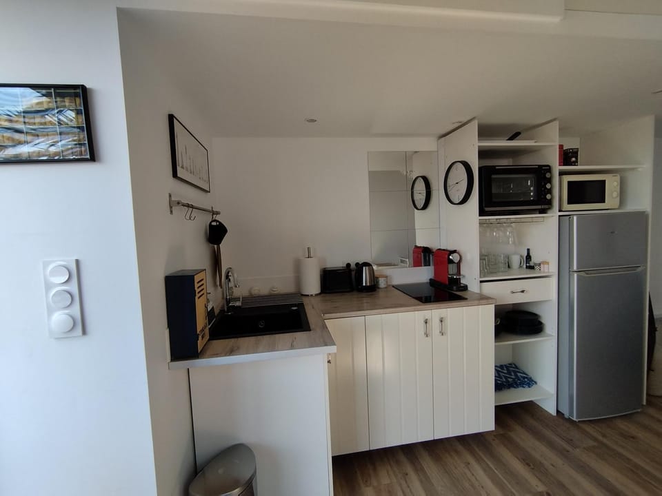 Coffee/tea facilities, Kitchen or kitchenette, minibar, pet friendly, stove, toaster, kitchen