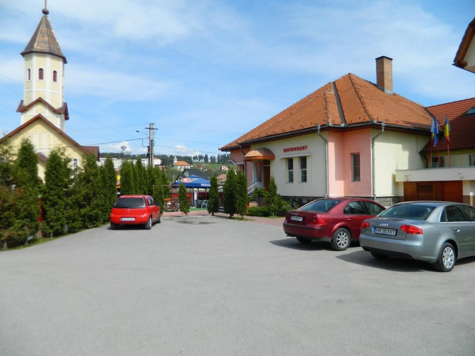 Hotel Mures Hotel in Romania