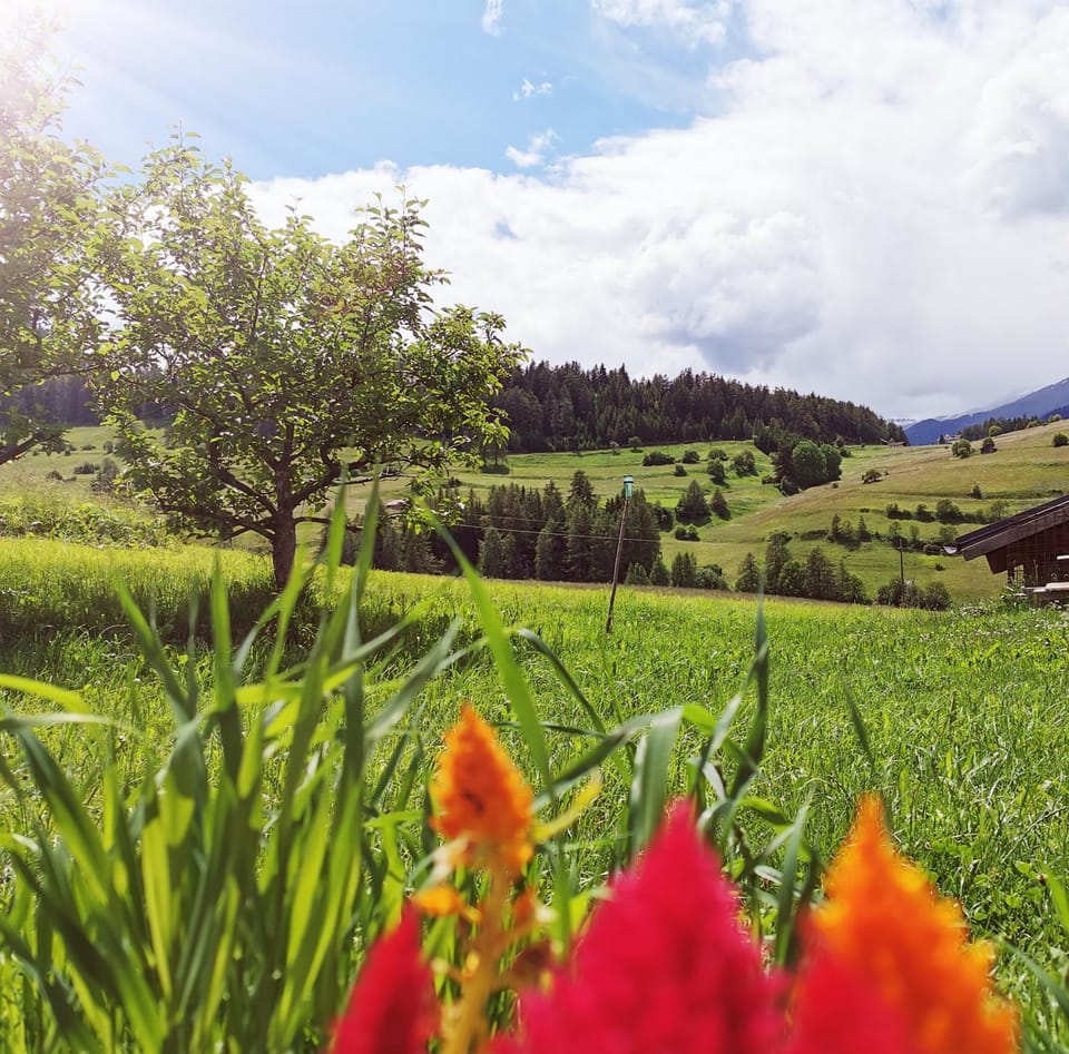 Abenteuerhof Apartment in Trentino-South Tyrol