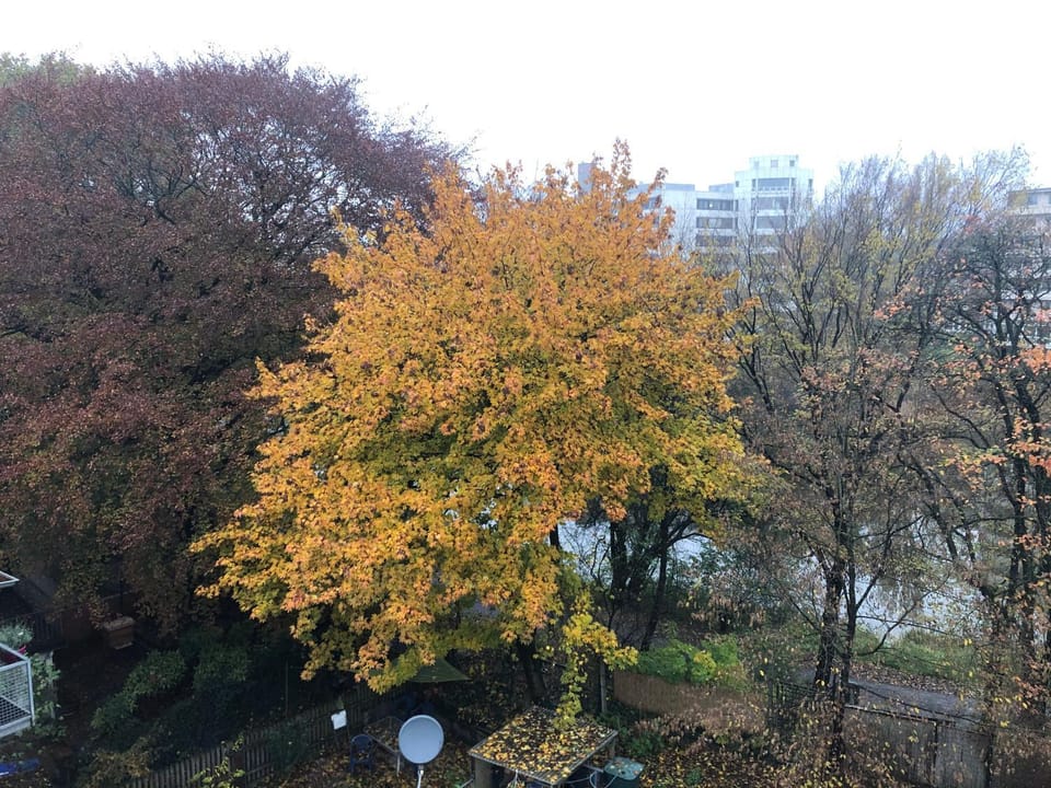 Natural landscape