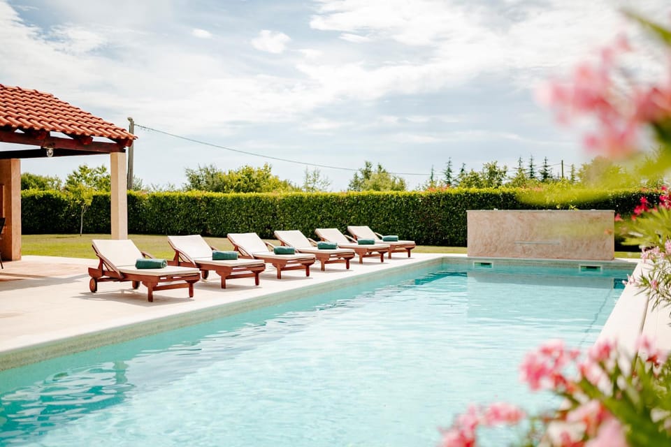 Natural landscape, Garden, Garden view, Pool view, Swimming pool, sunbed