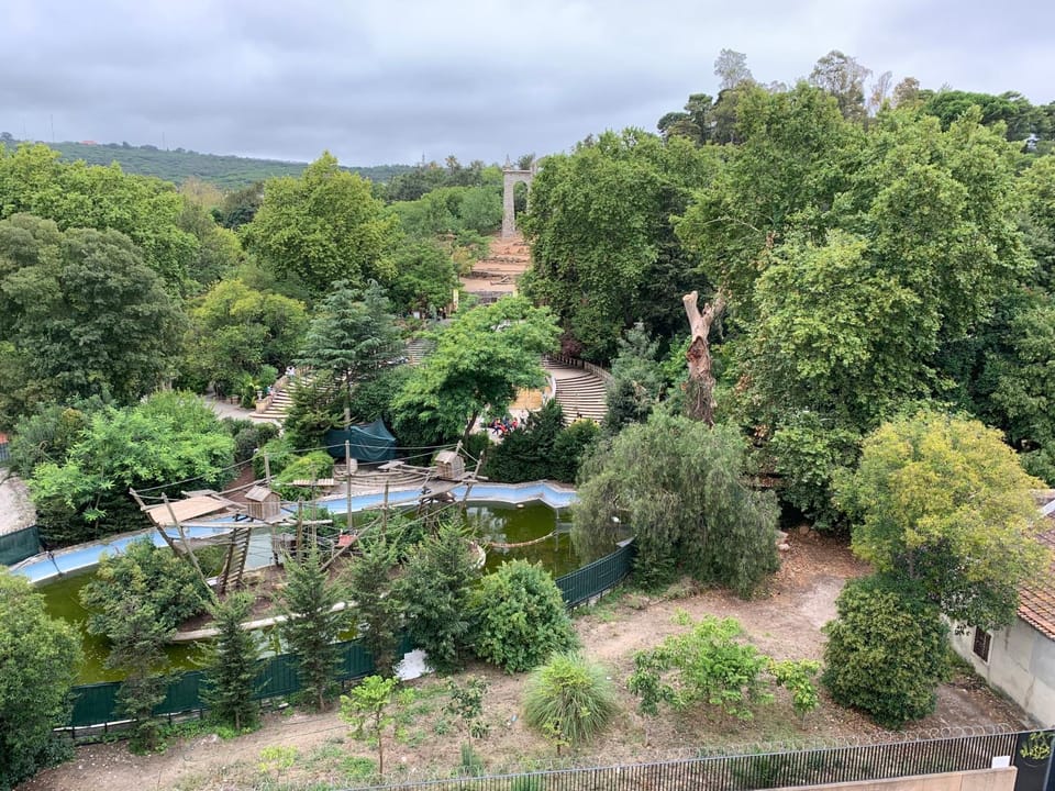 Balcony/Terrace, Garden view