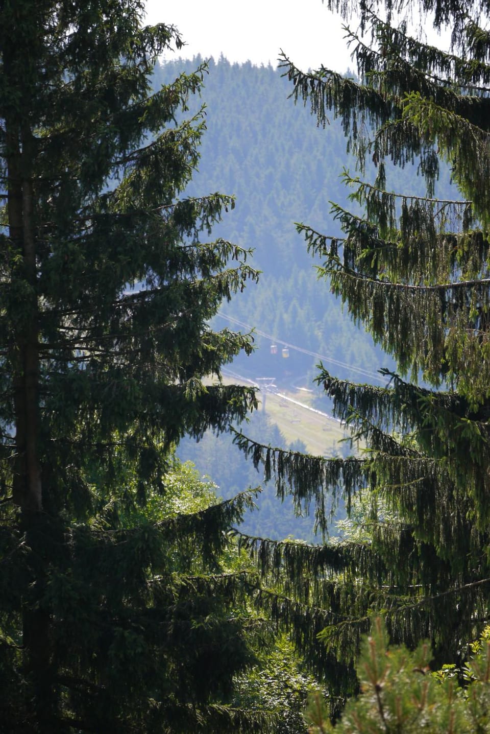 Natural landscape