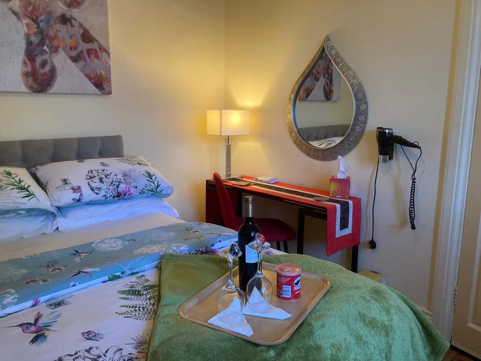 Mountroyal Victorian Studio Self Catering Apartment 3 Apartment in Belfast