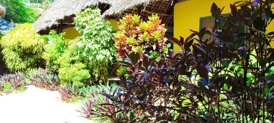 Garden, Garden view