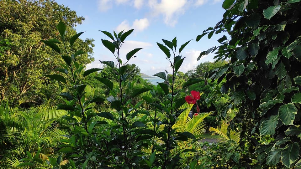 Natural landscape