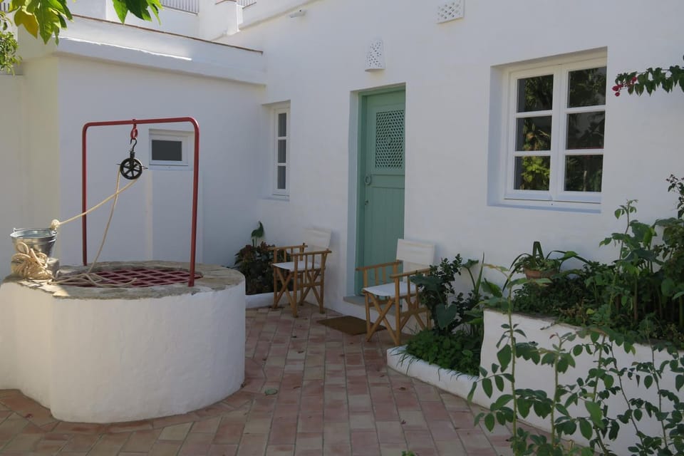 Patio, Garden