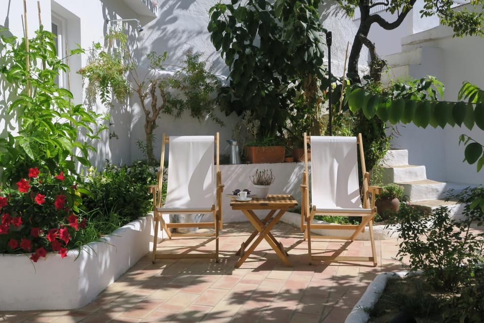 Patio, Garden