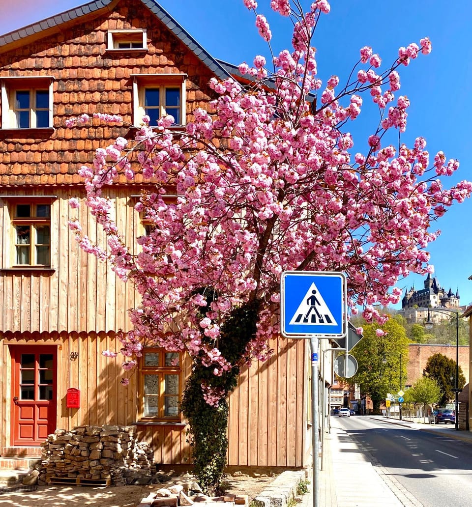 Hochwertige ökologische Ferienwohnung DG Innenstadt Apartment in Wernigerode
