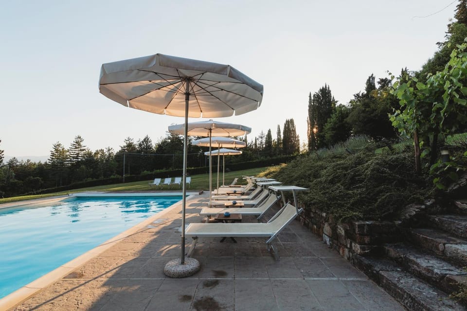 Garden, Swimming pool, Public Bath