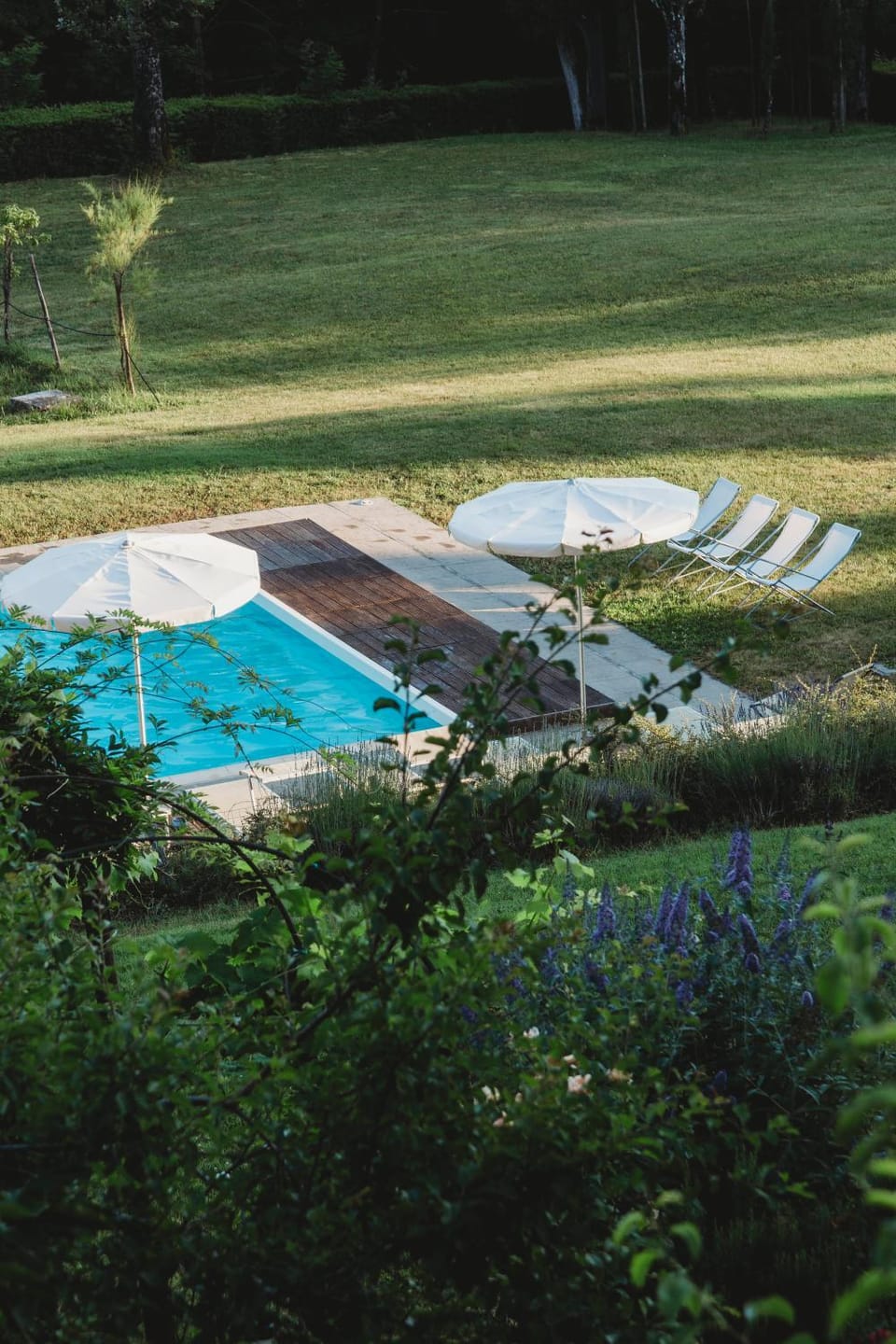 Garden, Swimming pool, Swimming pool