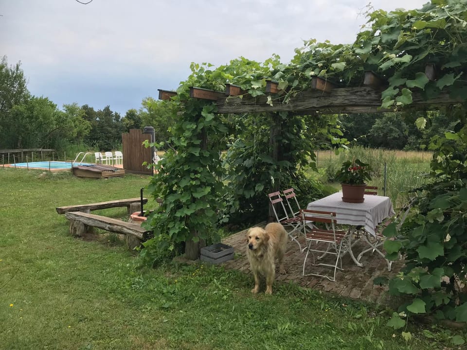 Csörgő Vendégházak Bed and Breakfast in Slovenia