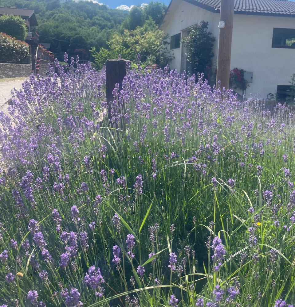 Bilocale per gli amanti dello sci Apartment in Emilia-Romagna
