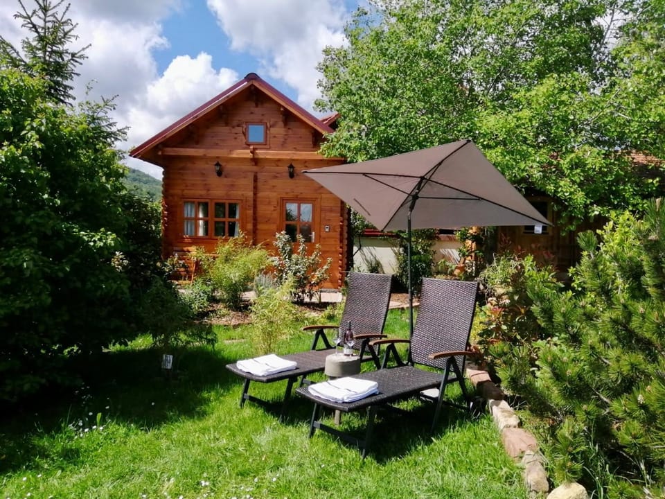 Ferienhaus Kleine Pfalz House in Rhineland-Palatinate