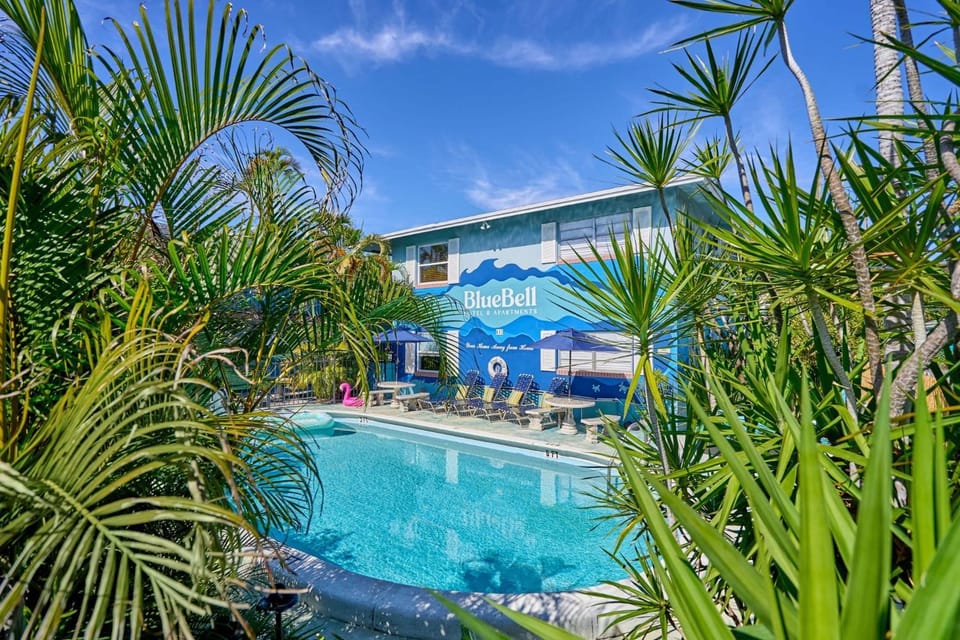 Spring, Day, Garden, Garden view, Pool view, Swimming pool, sunbed
