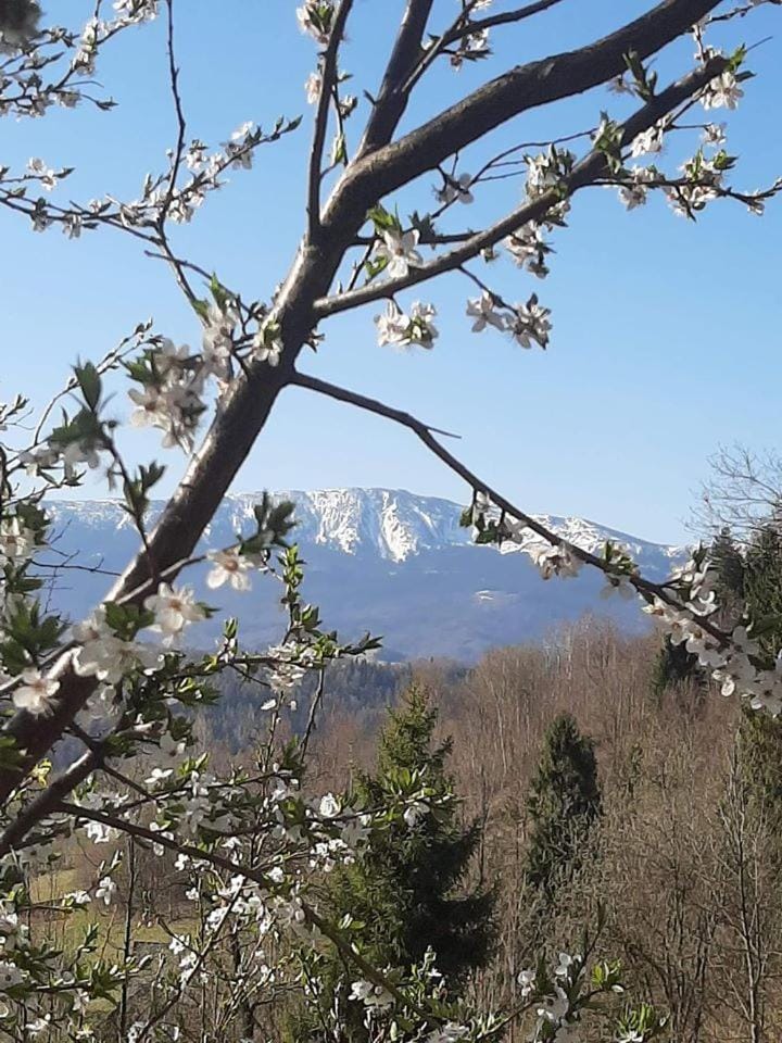 Spring, Mountain view