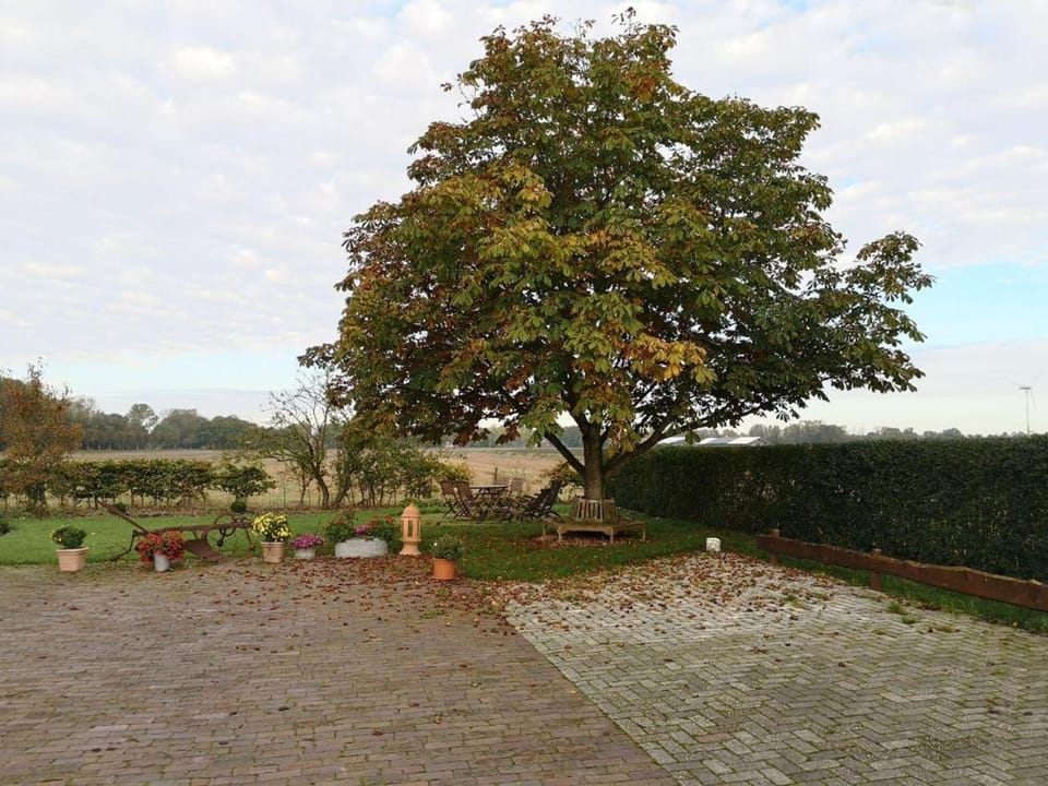 Patio, Garden view