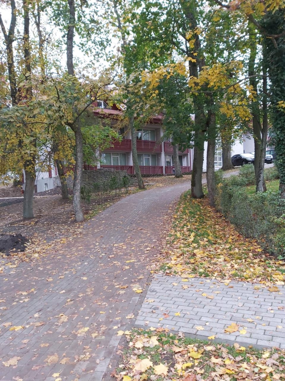 Autumn