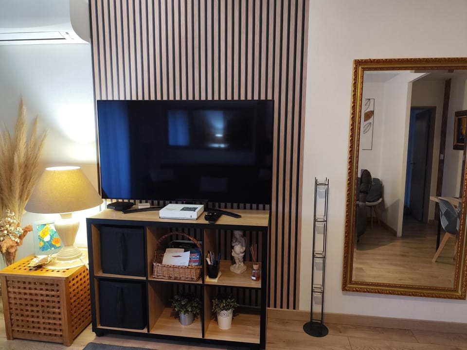 TV and multimedia