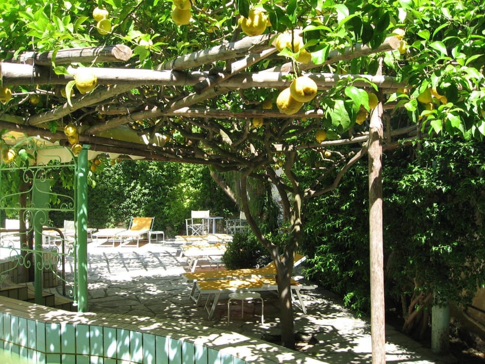 Decorative detail, Seating area