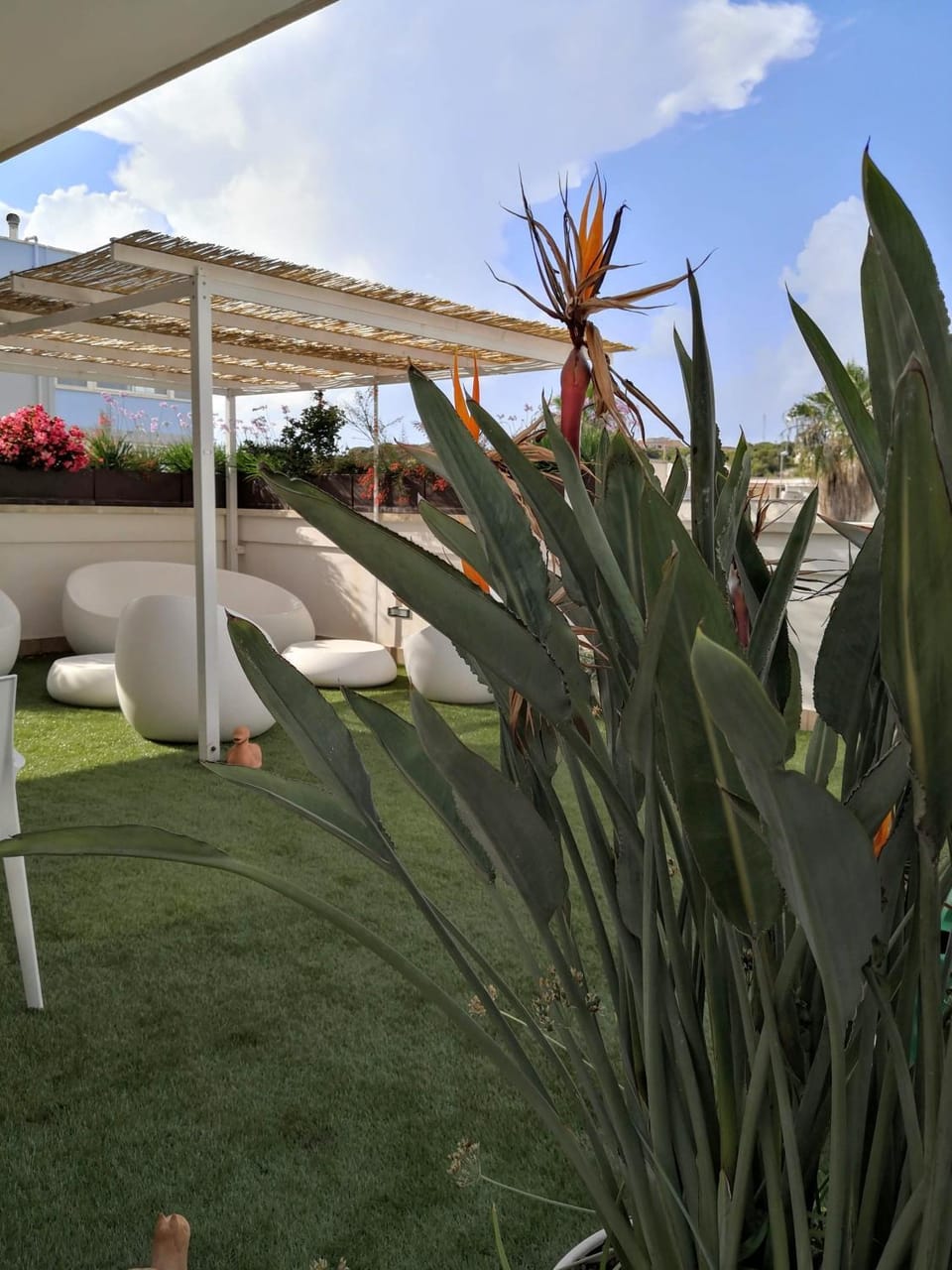 La Casa del Turista Bed and Breakfast in Gallipoli