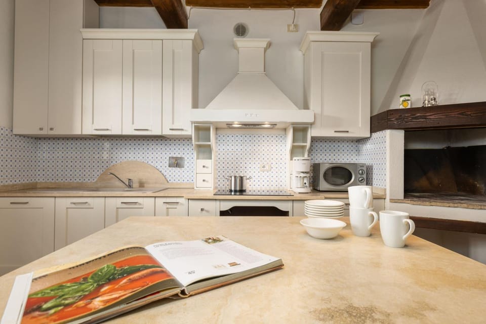 Kitchen or kitchenette, fireplace, microwave, stove