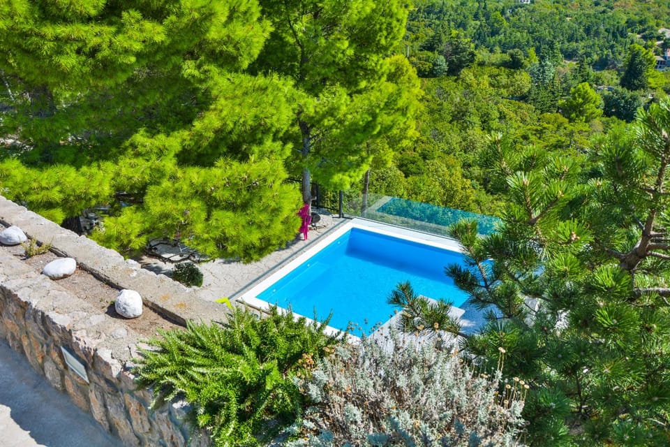 Spring, Day, Natural landscape, Garden view, Pool view, Swimming pool
