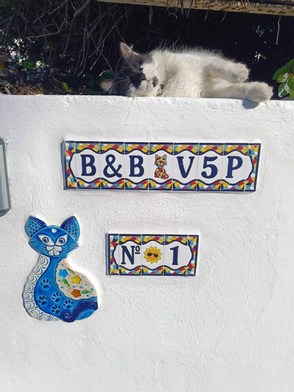 Property building, Pets