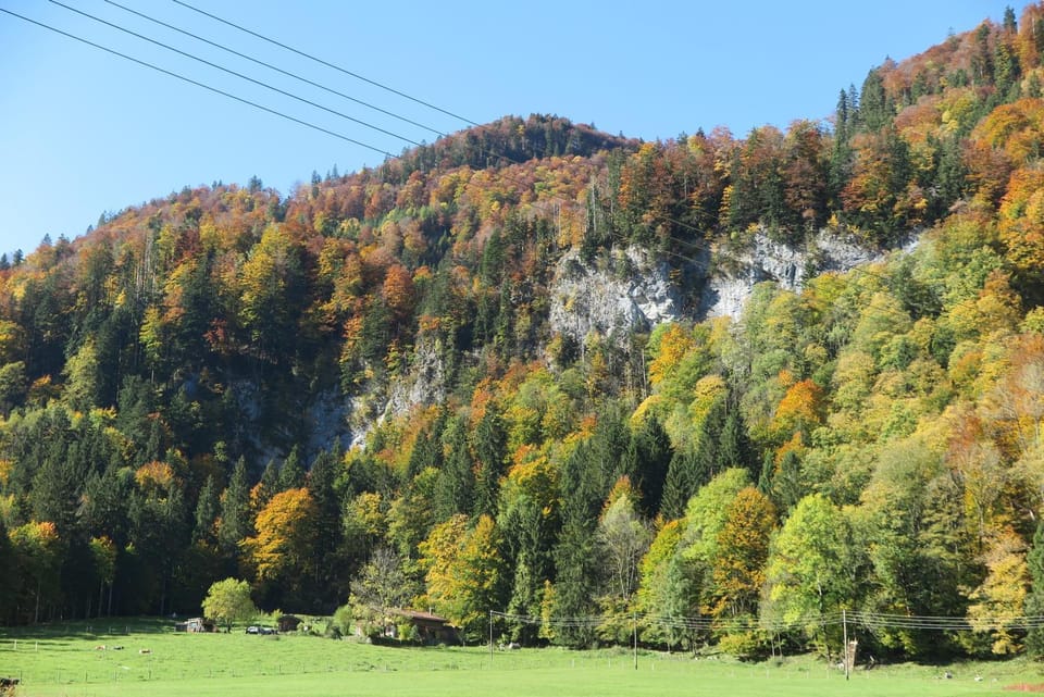 Ferienwohnungen Haus Waldwinkel Apartment in Aschau im Chiemgau