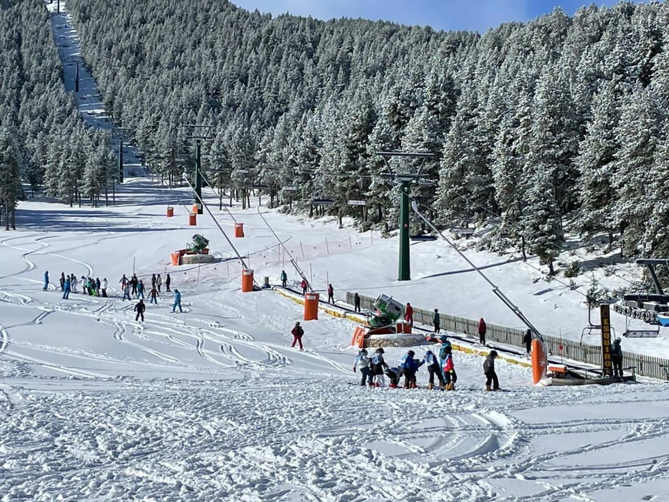 Day, People, Winter, Skiing, group of guests