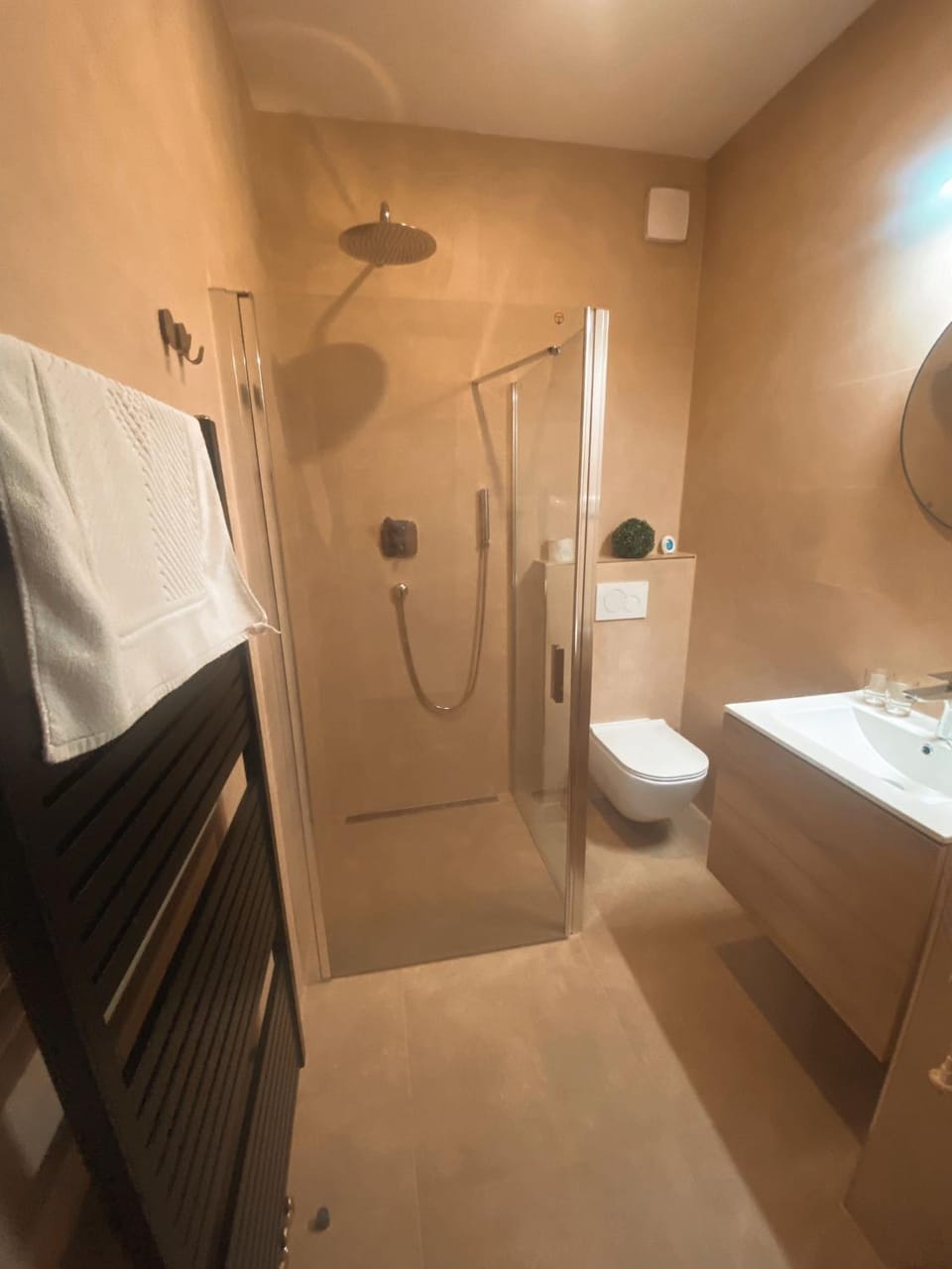 Shower, Toilet, Bathroom, towels