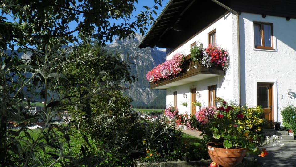 Property building, Spring