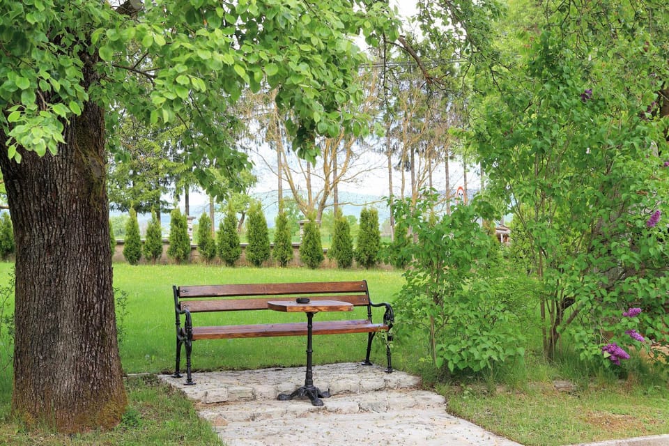 Spring, Day, Natural landscape, Garden, Garden view