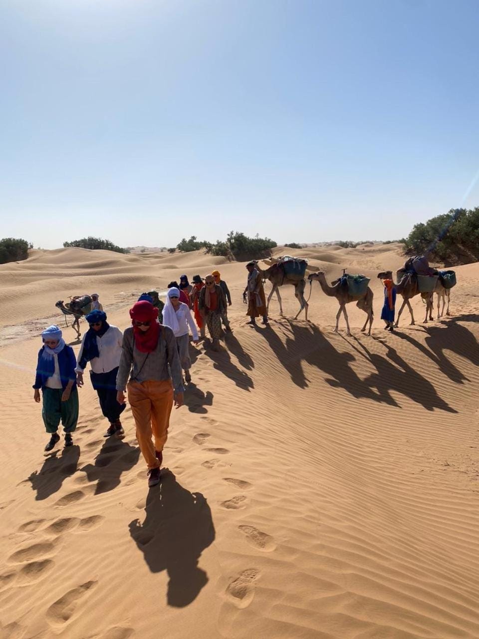 Desert Bivouac Mhamid Luxury tent in Morocco