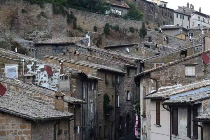 Property building, Neighbourhood, Street view
