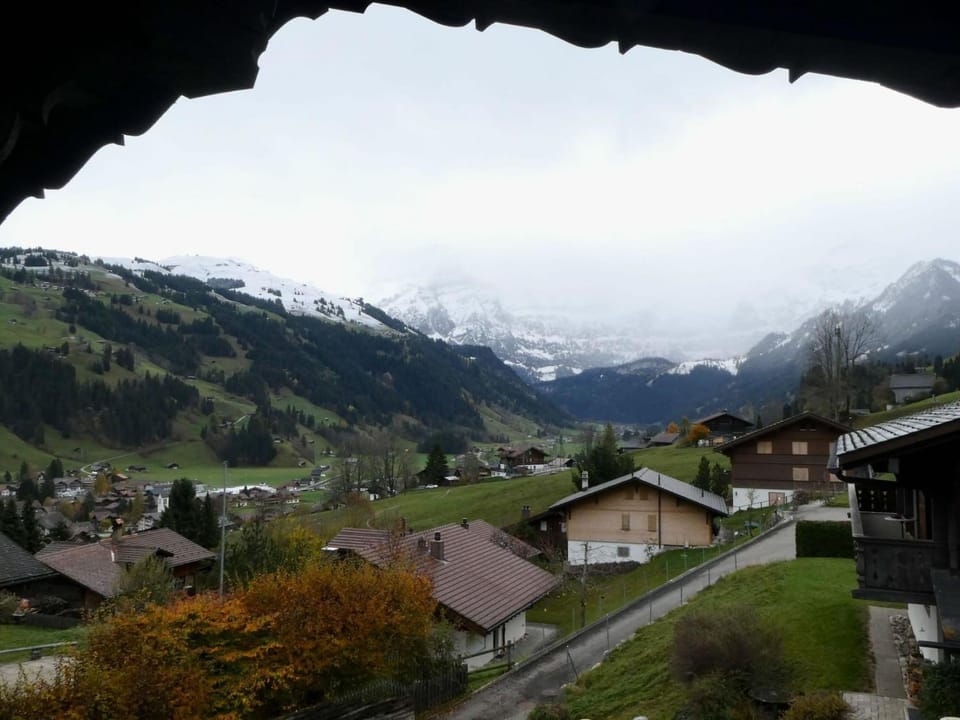 View (from property/room)