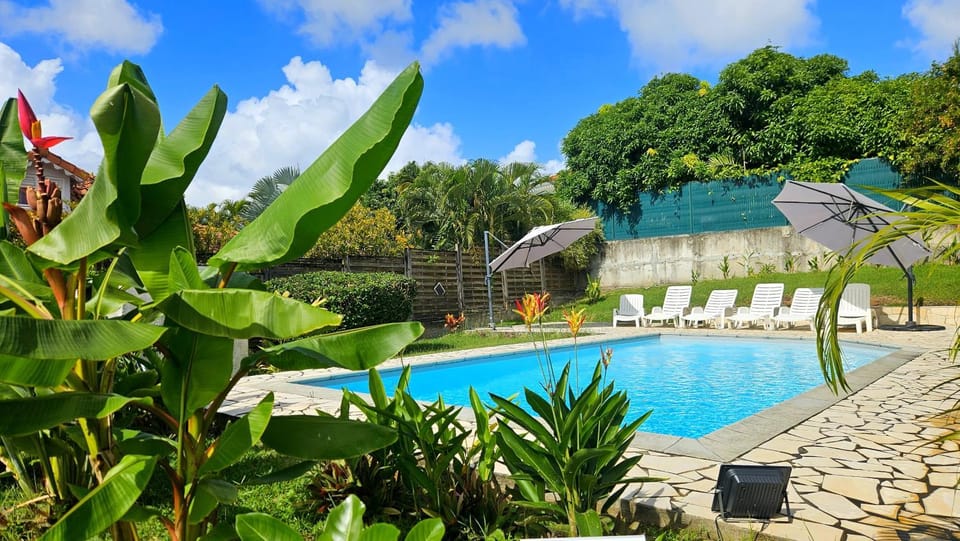 Day, Garden, Garden view, Pool view, Swimming pool, sunbed