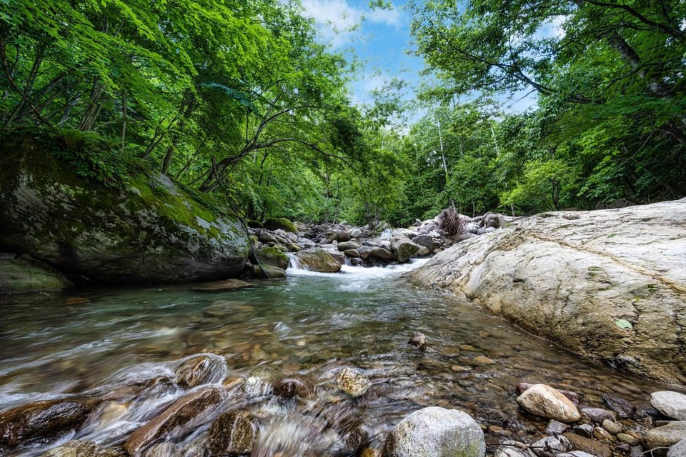 Natural landscape