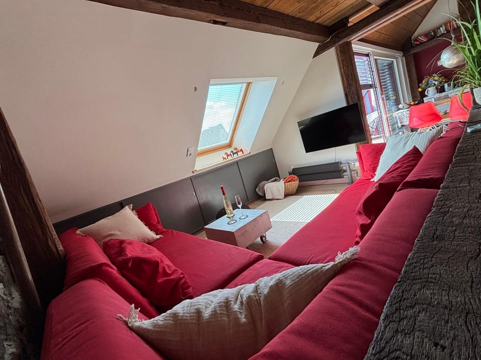 Historische Ferienwohnung mit Sauna und Dachterrasse Apartment in Hesse