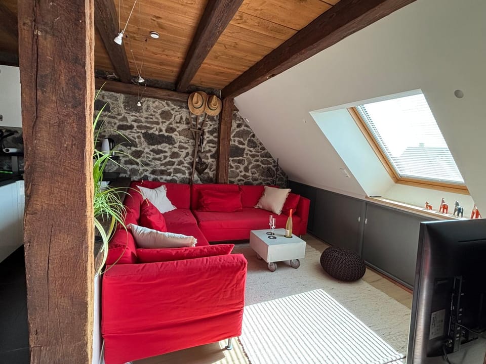 Historische Ferienwohnung mit Sauna und Dachterrasse Apartment in Hesse