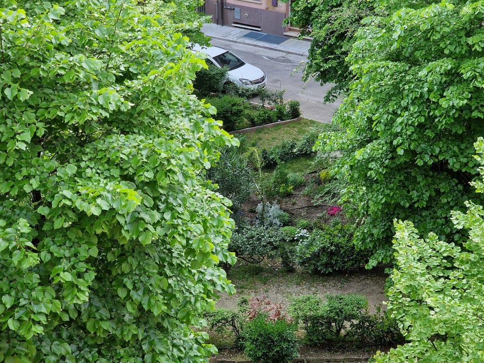 Garden, Garden view, Parking