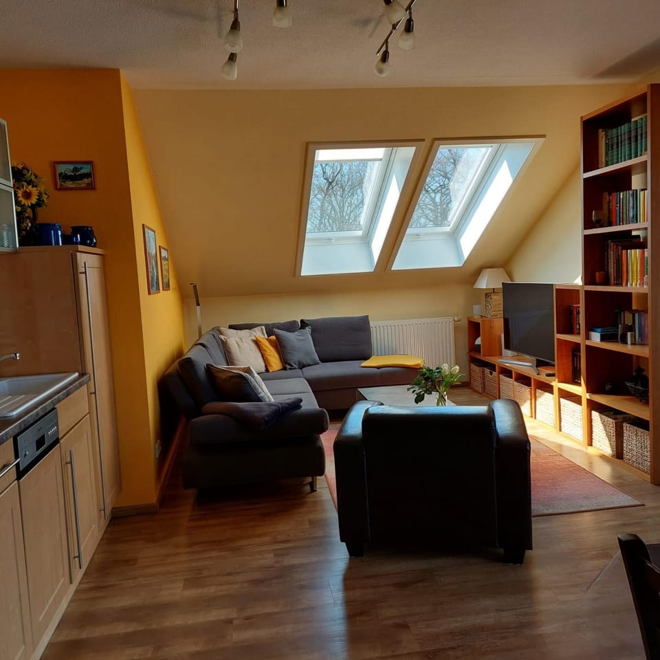 Kitchen or kitchenette, Living room, Seating area