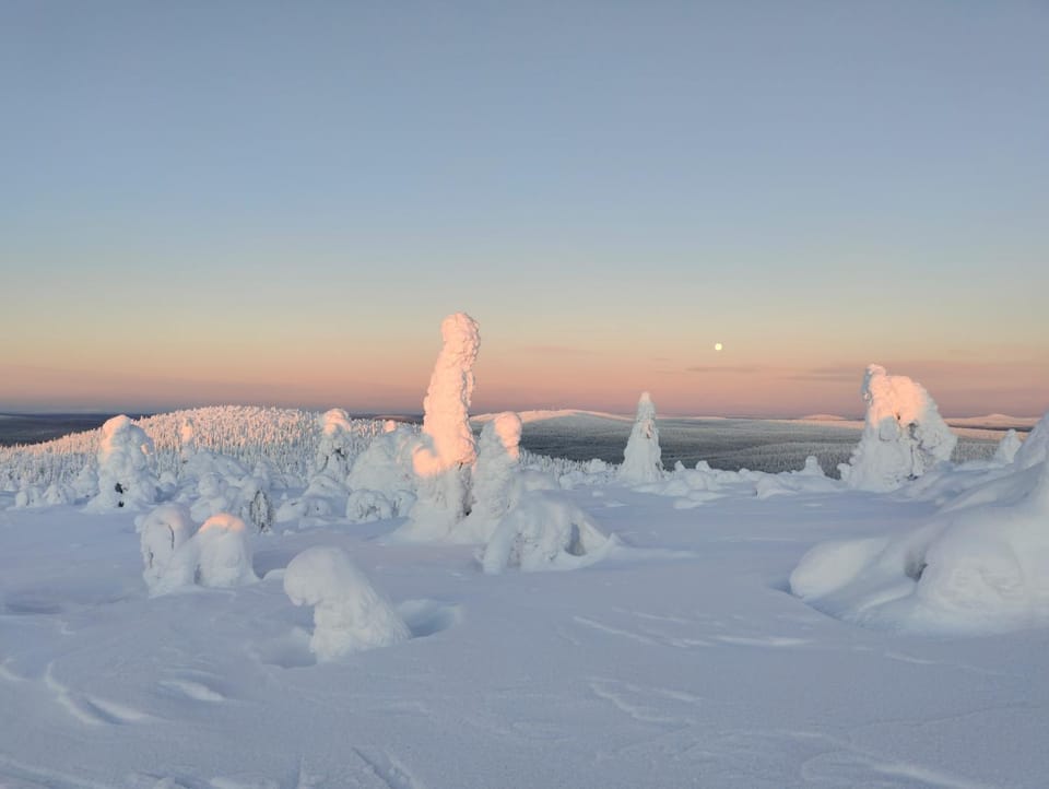 Natural landscape, Winter